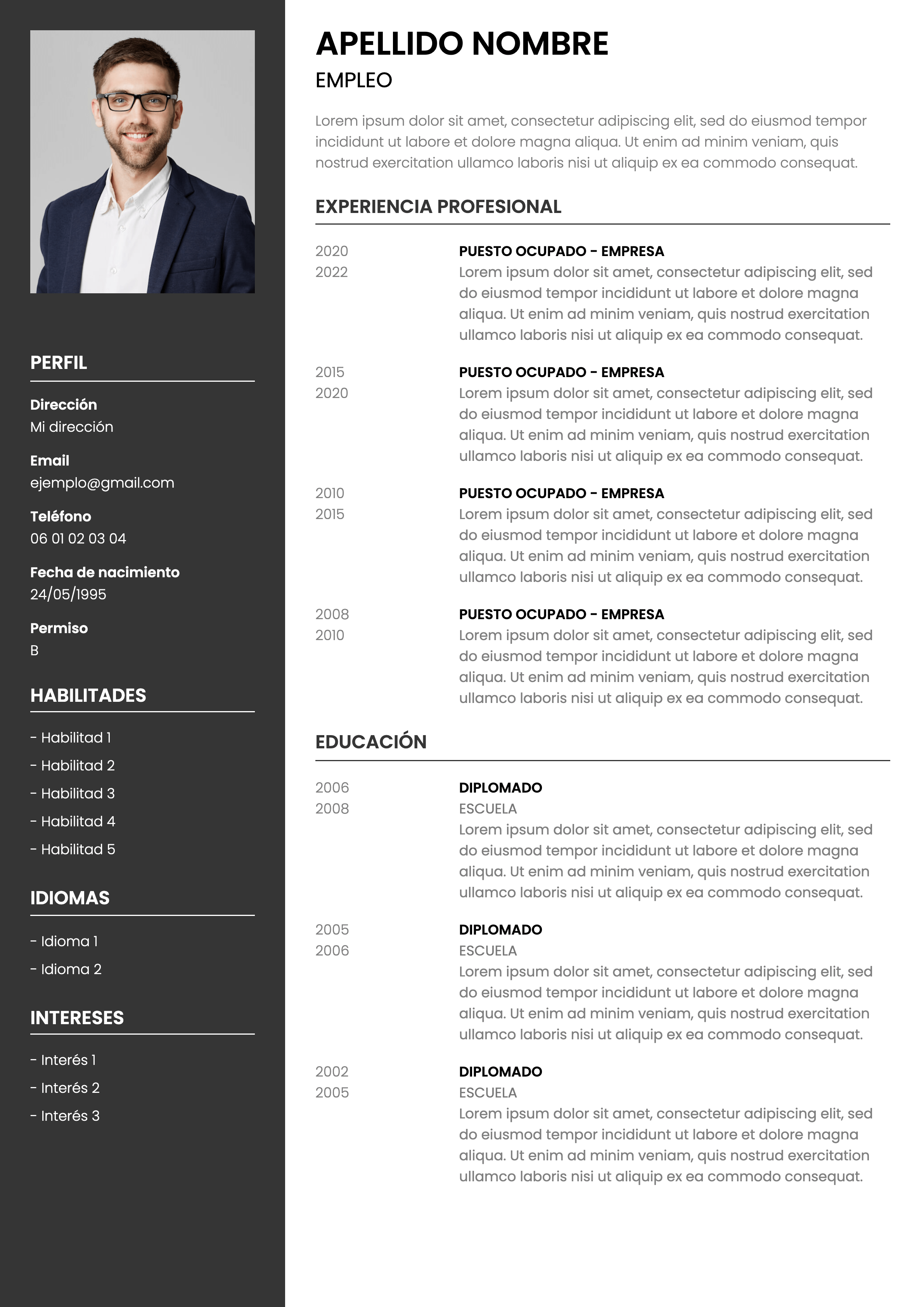 modelo CV profesional